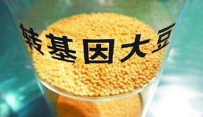 金龙鱼陷转基因门风波 专家称安全性尚无定论，对酒类经营有何启示？