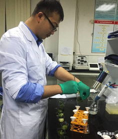 清溪食药监分局年度抽检成效显著，筑牢食品药品安全防线